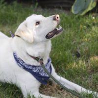 Robyn Griffith Photo 13