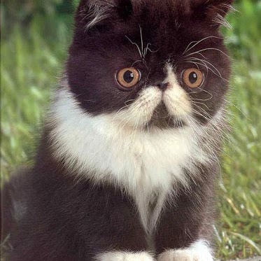 Gloria Cox Photo 17 Gloria Cox Photo 17