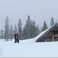 Denise Sanders Photo 38