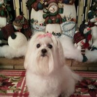 Diane Horn Photo 9