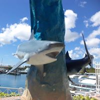 Joan German Photo 11