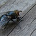 Mark Potter Photo 26