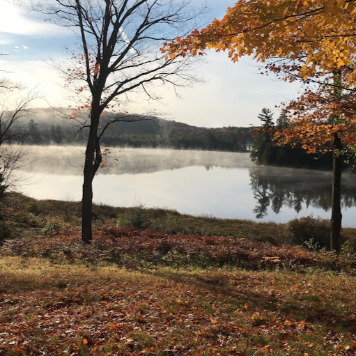 Stephen Potter Photo 28 Stephen Potter Photo 28