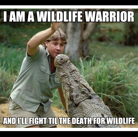 Thomas Root Photo 13