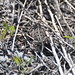 Robert Geer Photo 16