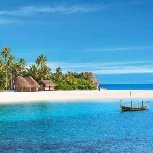 Laurel Wilson Photo 16