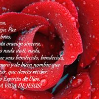 Mildred Ruiz Photo 29