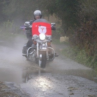 Steve Kemp Photo 36