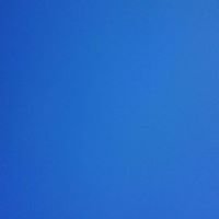 Stephen Gilmore Photo 24