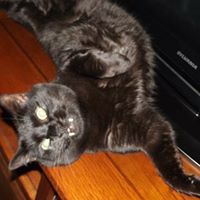 Susan Perrin Photo 17