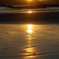 Bonnie Cain Photo 20