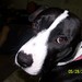Tina Olds Photo 23