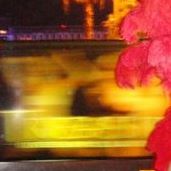 Ronald Schulz Photo 10