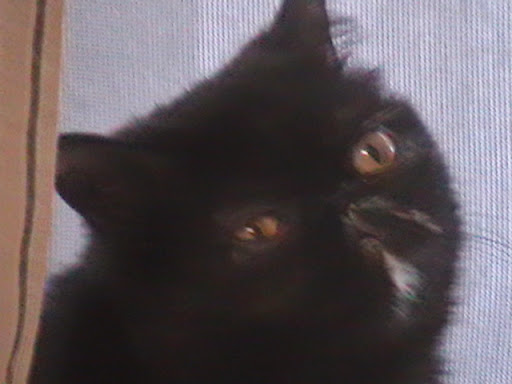 Robert Hutson Photo 18