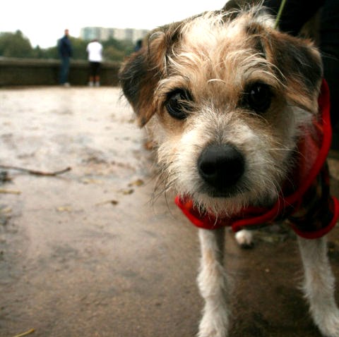 Kristin Mcpherson Photo 11