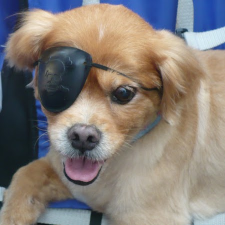 Riley Rodgers Photo 14