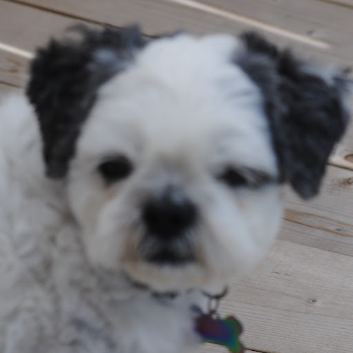 Donna Leblanc Photo 29