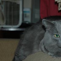 Charlie Summers Photo 6