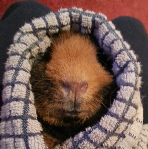 Maria Russell Photo 10