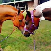 Jody Robinson Photo 18