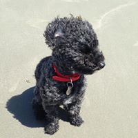 Christine Spain Photo 17