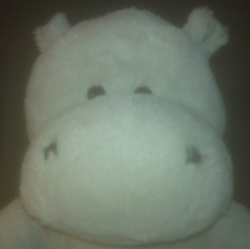 Michael Gilbert Photo 43 Michael Gilbert Photo 43