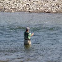 Paul Shipman Photo 7