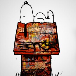 Jonathan Cunningham Photo 33