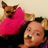 Nicholas Macy Photo 11