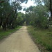 Frances Robertson Photo 13