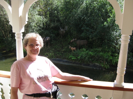 Debbie Fisher Photo 32