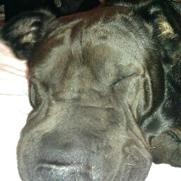 Troy Hughes Photo 35