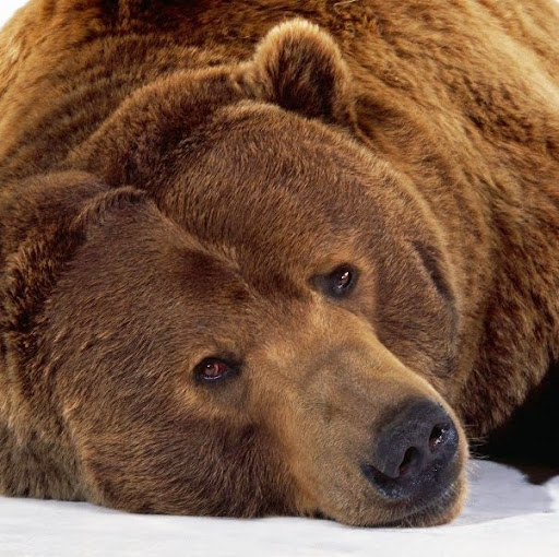 Francis Samuel Photo 41 Francis Samuel Photo 41