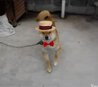 Oscar Felix Photo 17