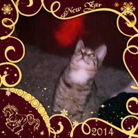 Michelle Herzog Photo 11