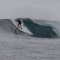 Stephen Purcell Photo 20