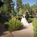 Carol Cardwell Photo 26