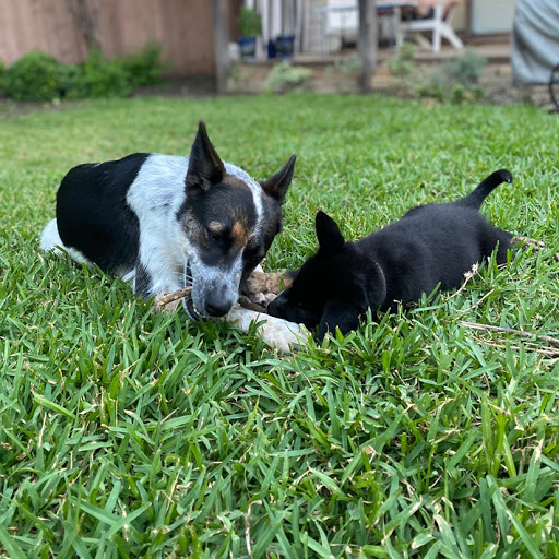 David O'Neill Photo 19