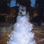 Joyce Britt Photo 27