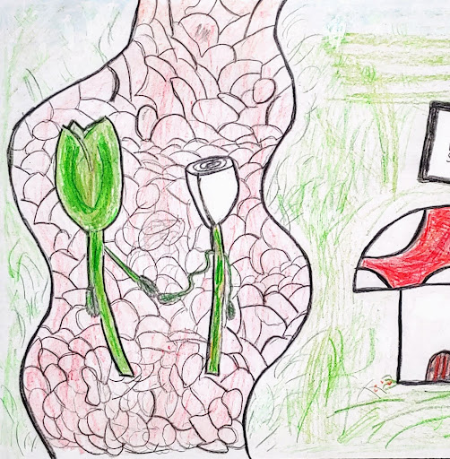 Robin Story Photo 19 Robin Story Photo 19