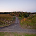 Glenn Horner Photo 15