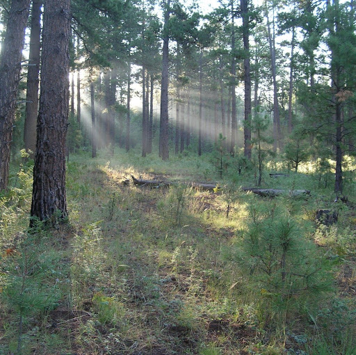 Kevin Mccarthy Photo 51 Kevin Mccarthy Photo 51