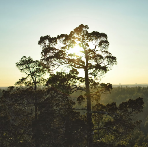 Robbie Dawson Photo 9