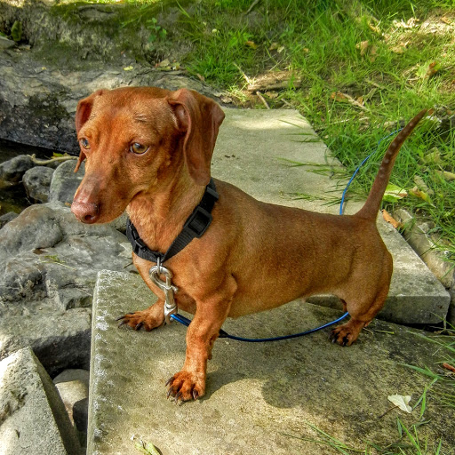 Melinda Adams Photo 9