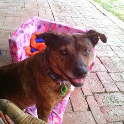 Claire Parsons Photo 21