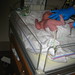 Ann Tatum Photo 15