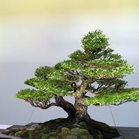 Edward Graf Photo 10