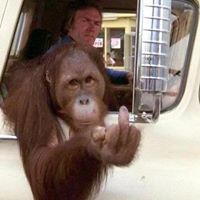 Michael Mclin Photo 19