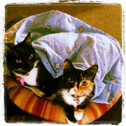 Frances Matos Photo 9