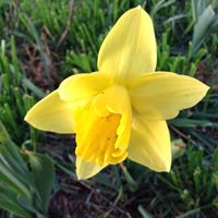 Theresa Kennedy Photo 42